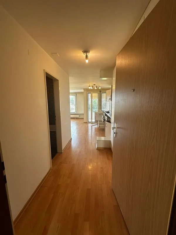 Eingangsbereich und Flur mit Blick in den Wohnraum